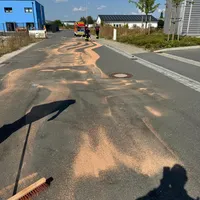 57.jpg
