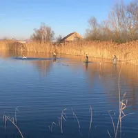schwan5.jpg